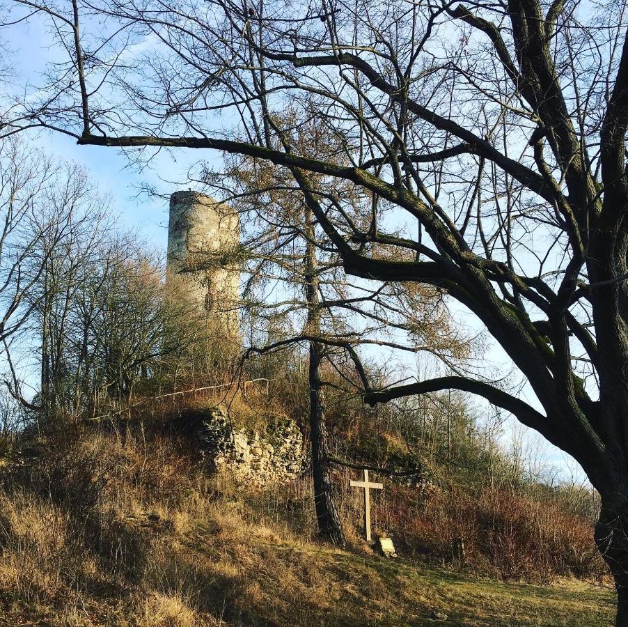 Ferienwohnungen Lausbuben & Zicken - Im Grunen Herzen Deutschlands Herleshausen Экстерьер фото