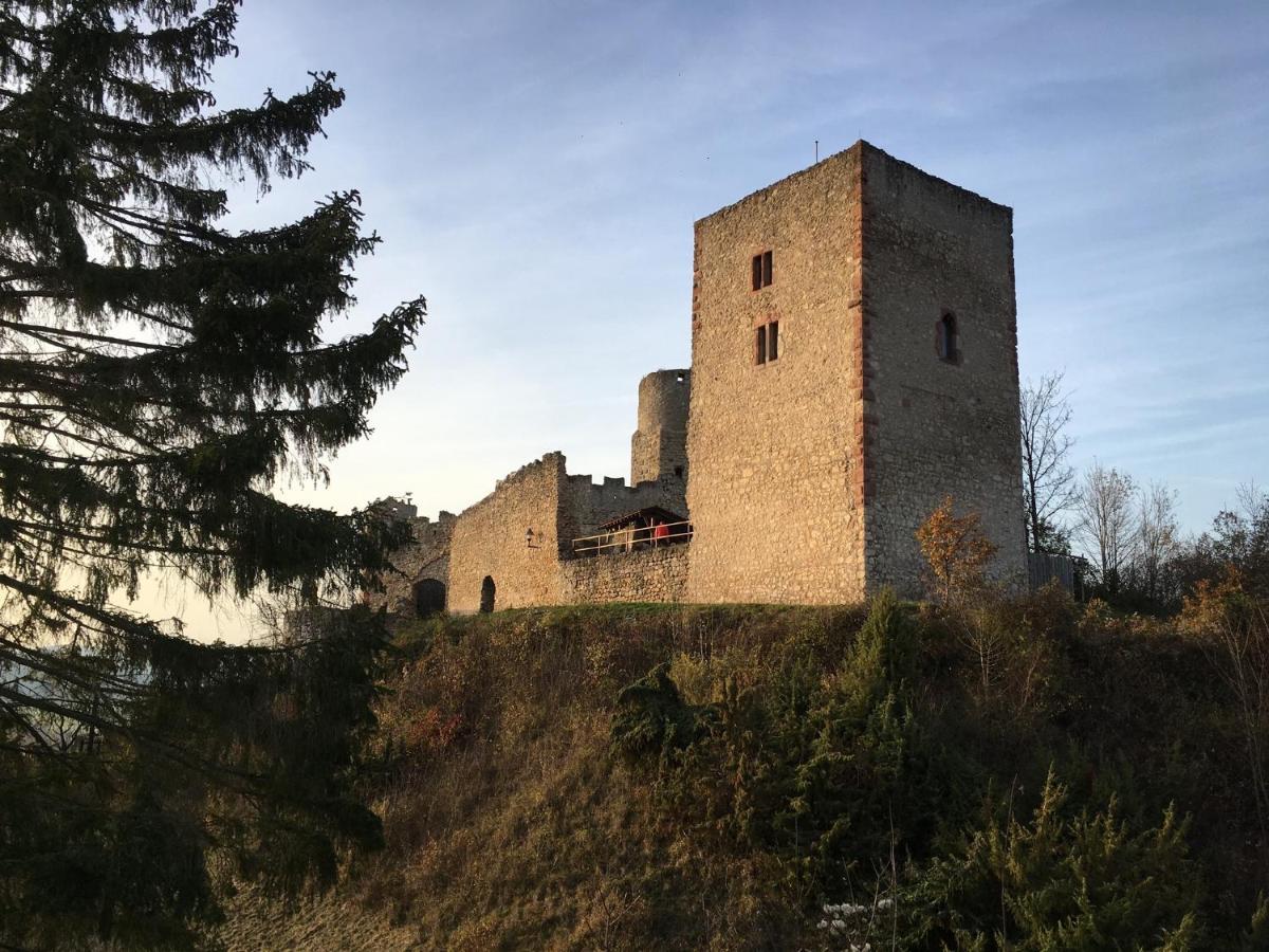 Ferienwohnungen Lausbuben & Zicken - Im Grunen Herzen Deutschlands Herleshausen Экстерьер фото